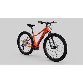 Electic MTB Bicycle 3D